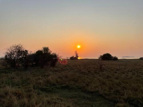 IMG-20230823-WA0012